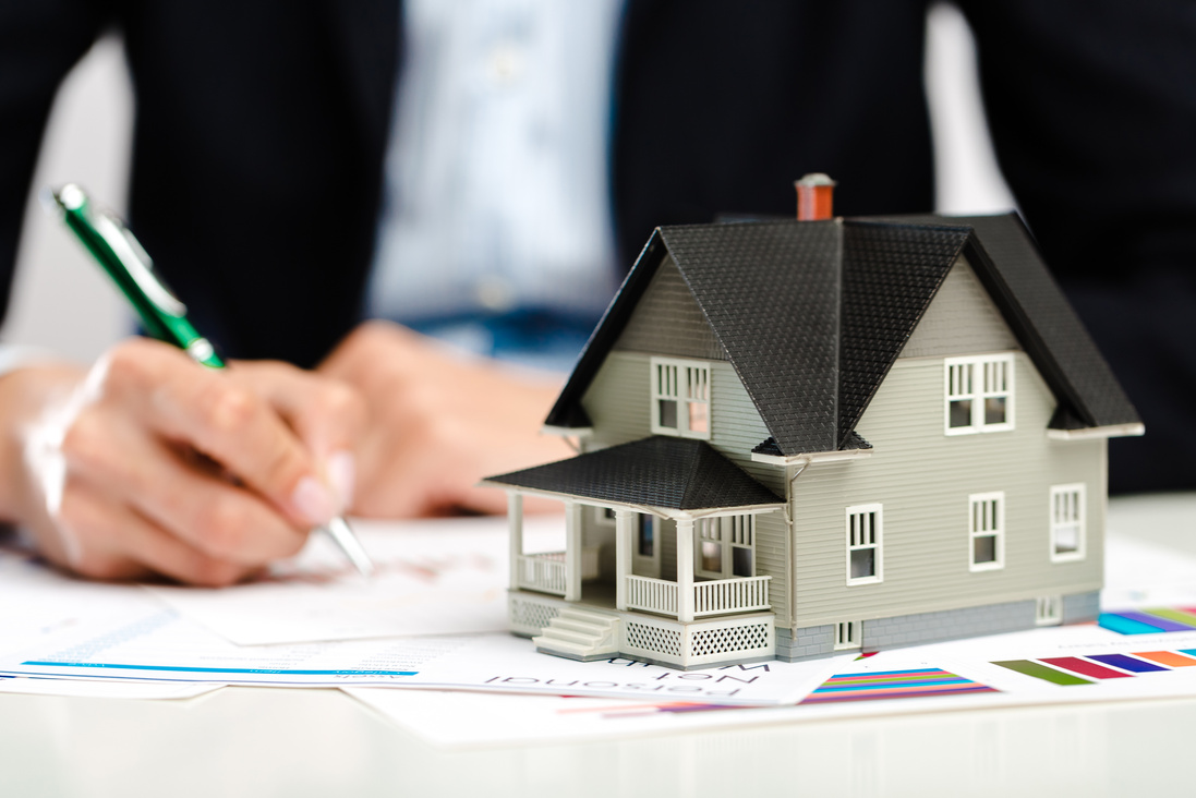 Real Estate Agent